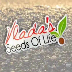 Vladas Company Logo Pin | MetalPromo