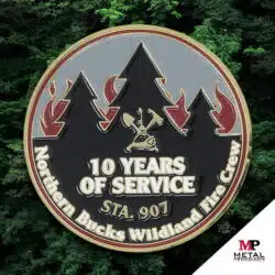 Challenge Coin Uses - Commemorative Coins 2 | MetalPromo