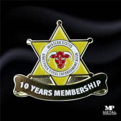 Corporate Pins - Years of Service Pins 4 | MetalPromo