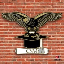 Education Pins - Graduation Pins 2 | MetalPromo