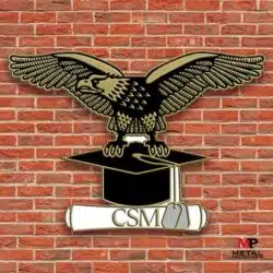 Education Pins - Graduation Pins 2 | MetalPromo