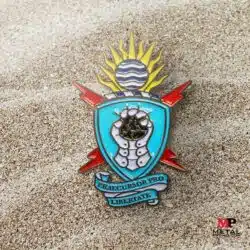 Military Pins - Navy Pins 1 | MetalPromo