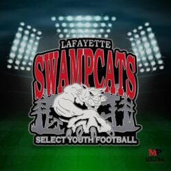 Sports Pins - Football Pins 2 | MetalPromo