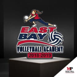 Sports Pins - Volleyball Pins 4 | MetalPromo