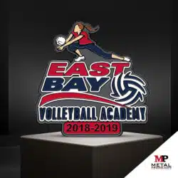 Sports Pins - Volleyball Pins 4 | MetalPromo