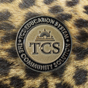 TCS Education Lapel Pin | MetalPromo