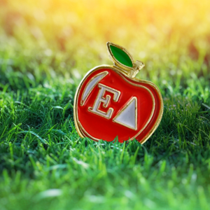 Educational Pin